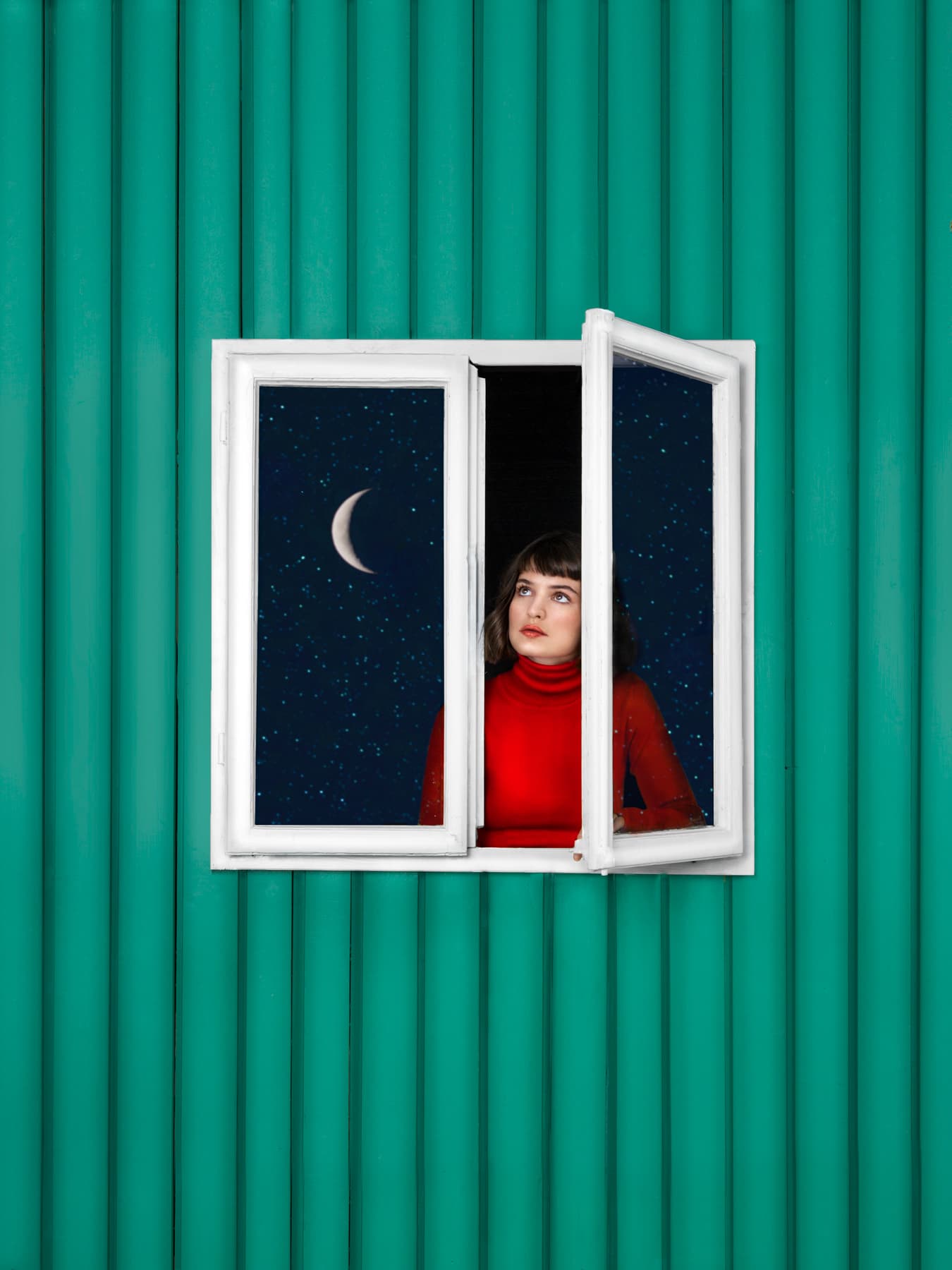 Seeing Music - Violetta Fenster