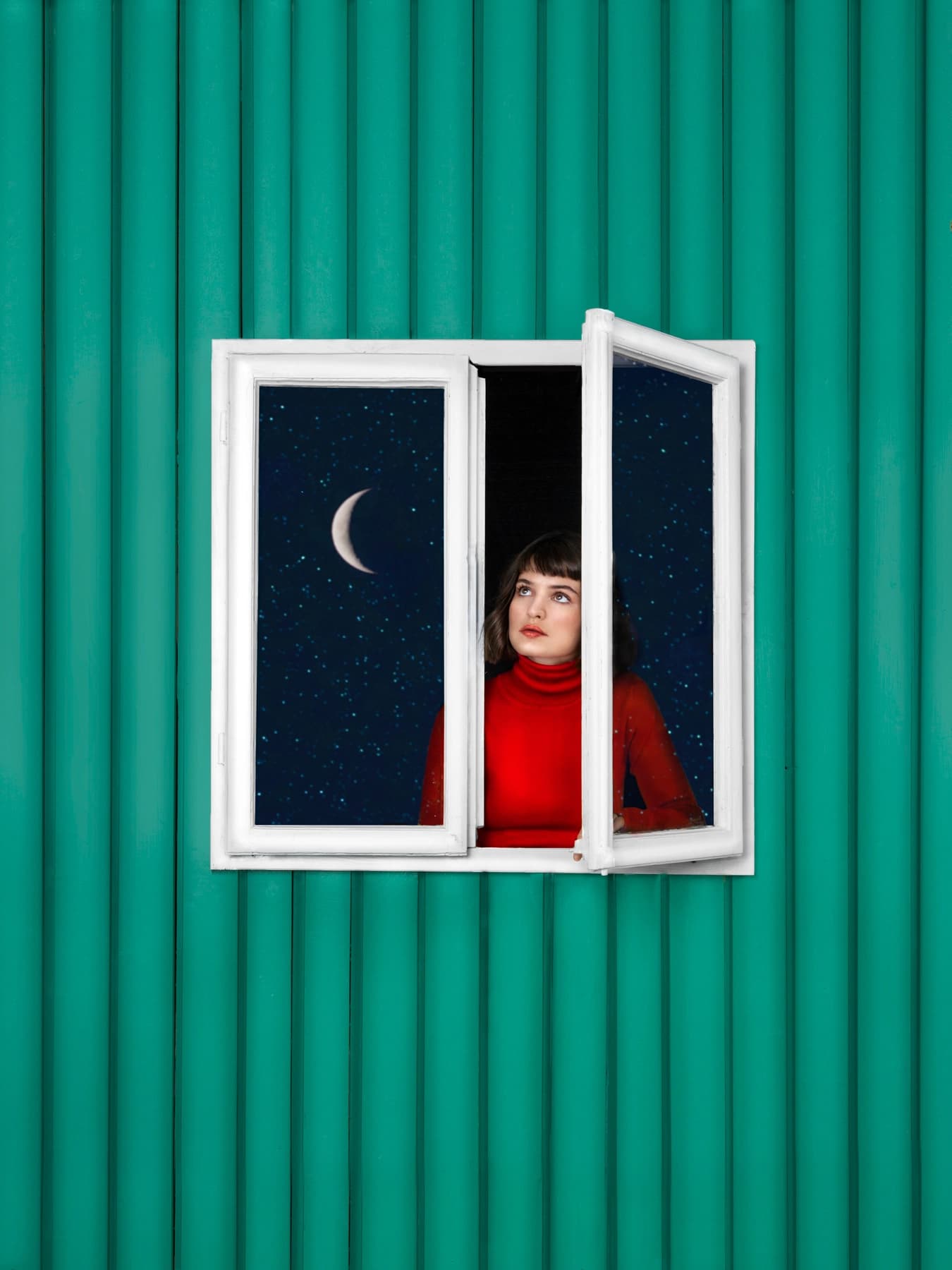 Seeing Music - Violetta Fenster