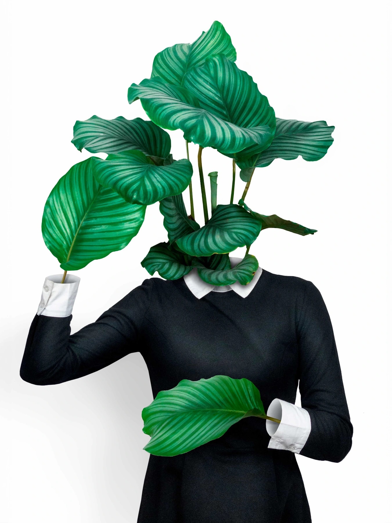 Photopia